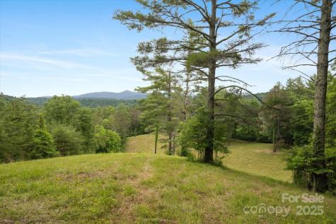 942 Paint Fork Road Mars Hill NC 28754