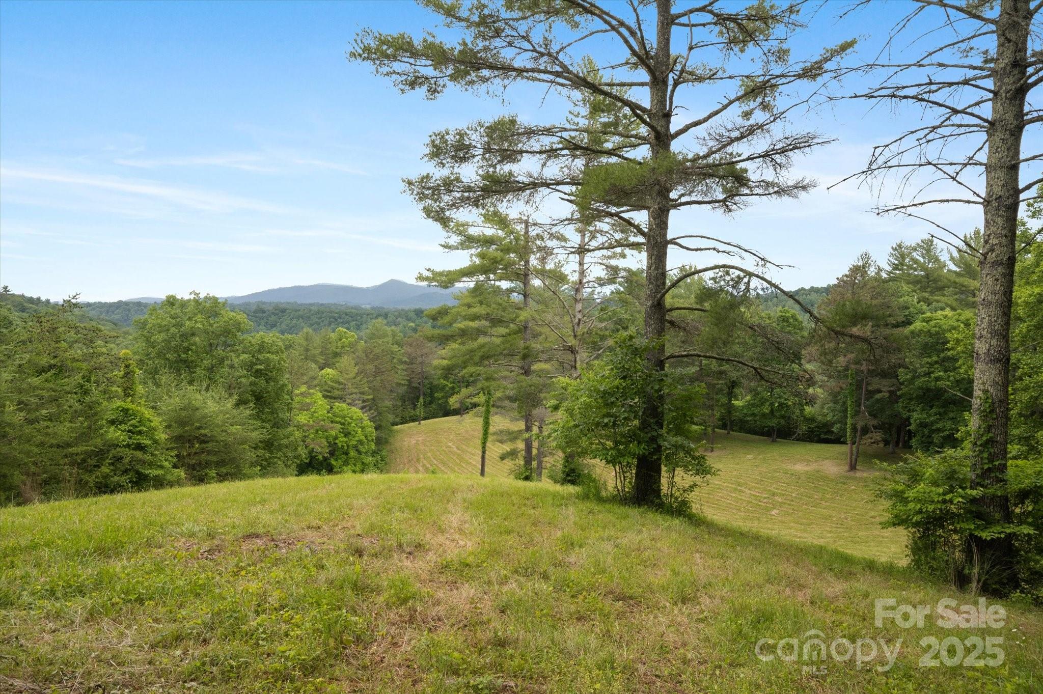 942 Paint Fork Road Mars Hill NC 28754