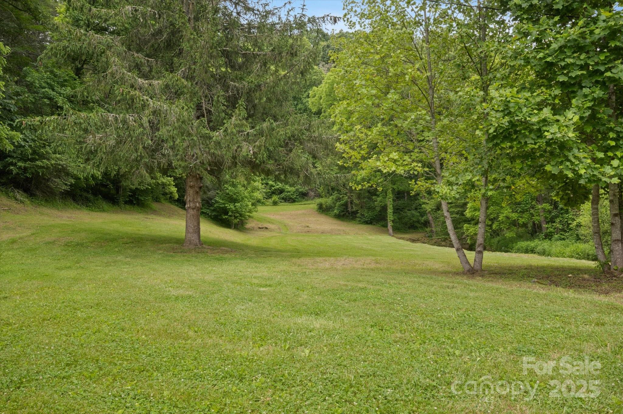 942 Paint Fork Road Mars Hill NC 28754