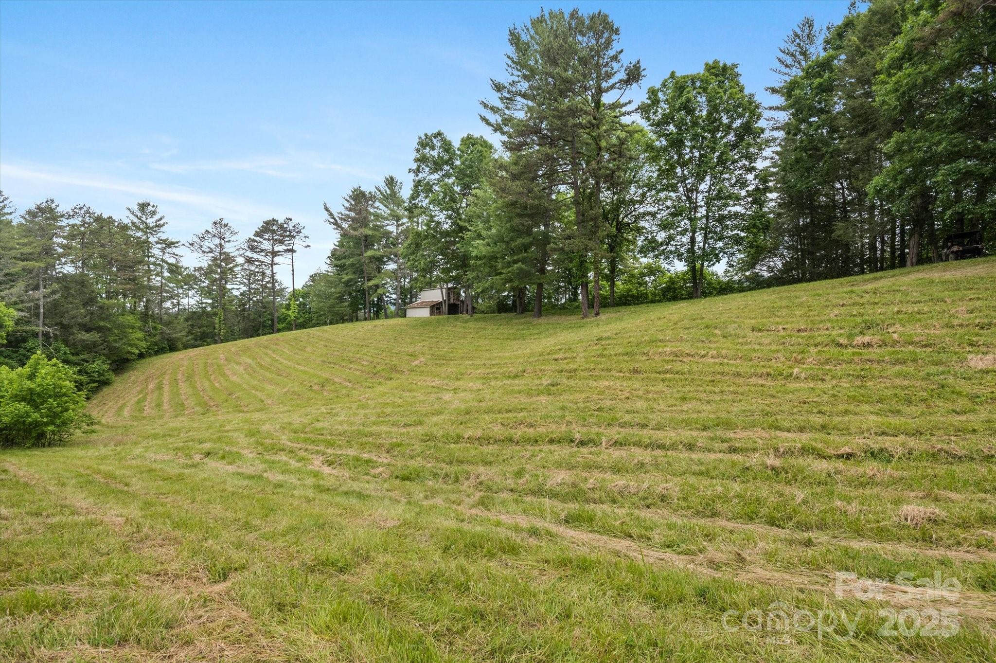 942 Paint Fork Road Mars Hill NC 28754