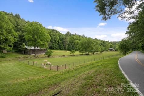 942 Paint Fork Road Mars Hill NC 28754