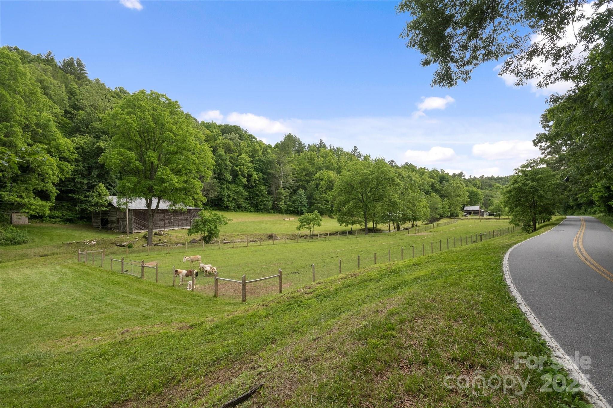 942 Paint Fork Road Mars Hill NC 28754