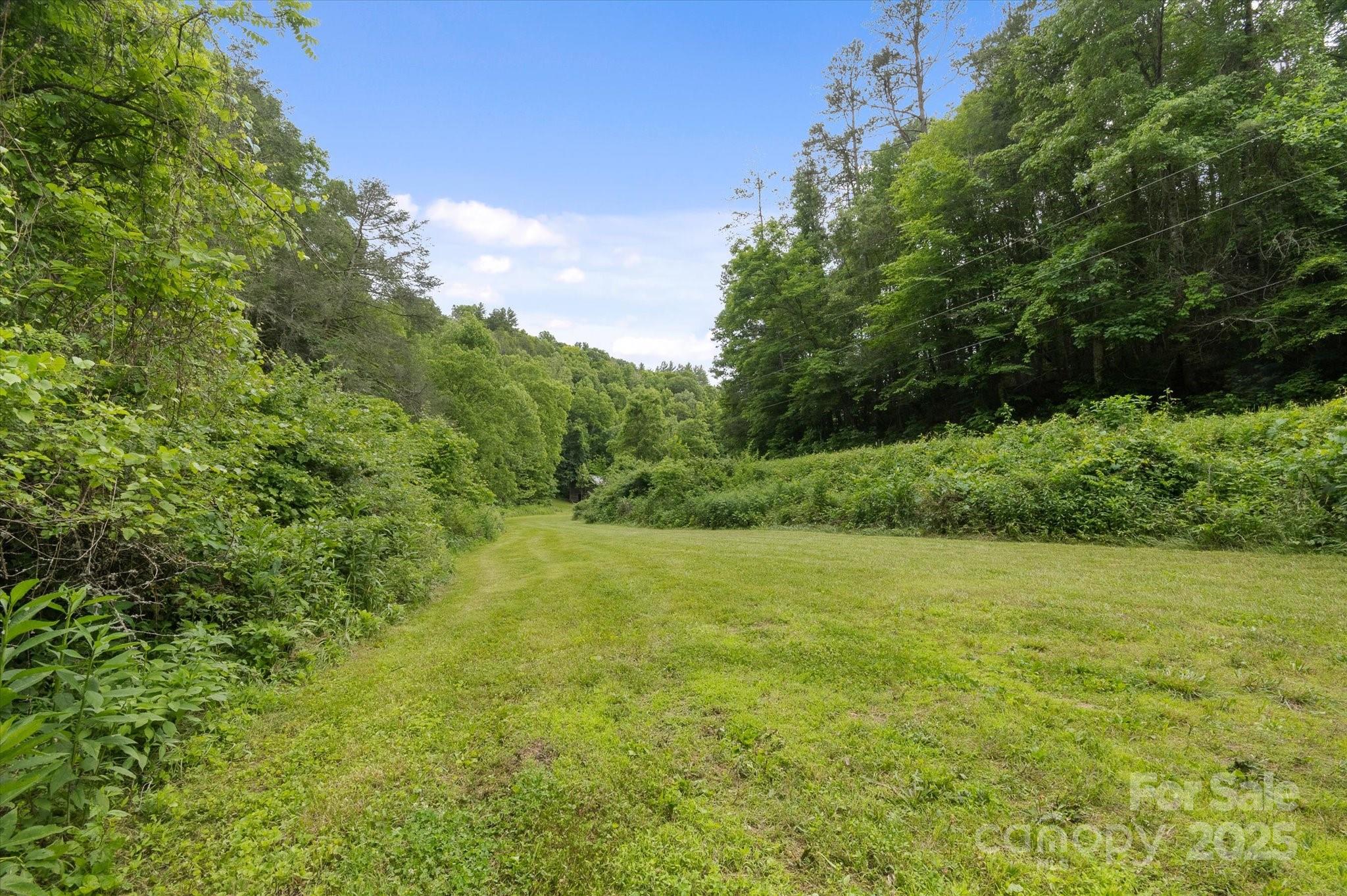 942 Paint Fork Road Mars Hill NC 28754