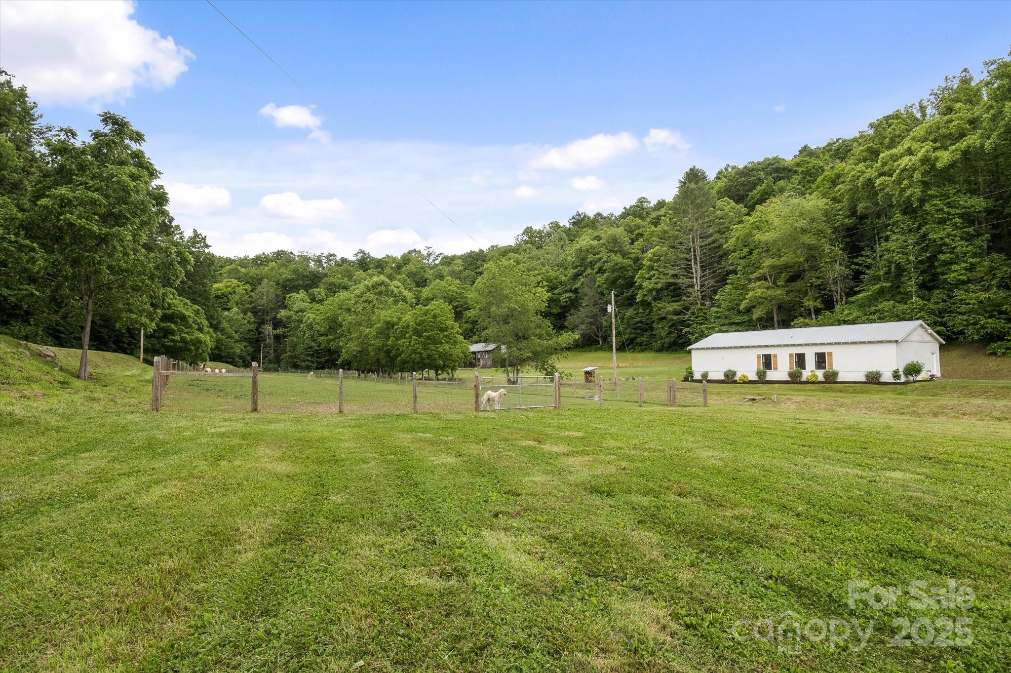 942 Paint Fork Road Mars Hill NC 28754