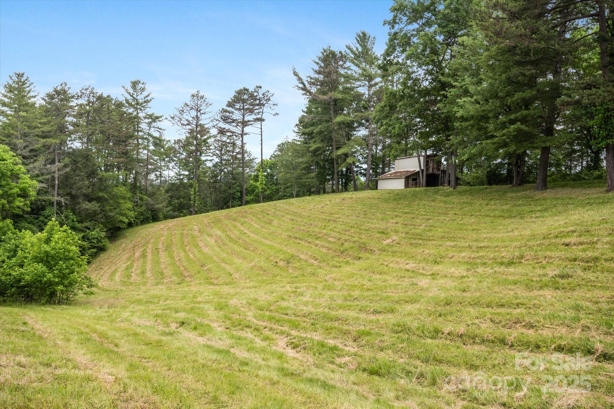 942 Paint Fork Road Mars Hill NC 28754