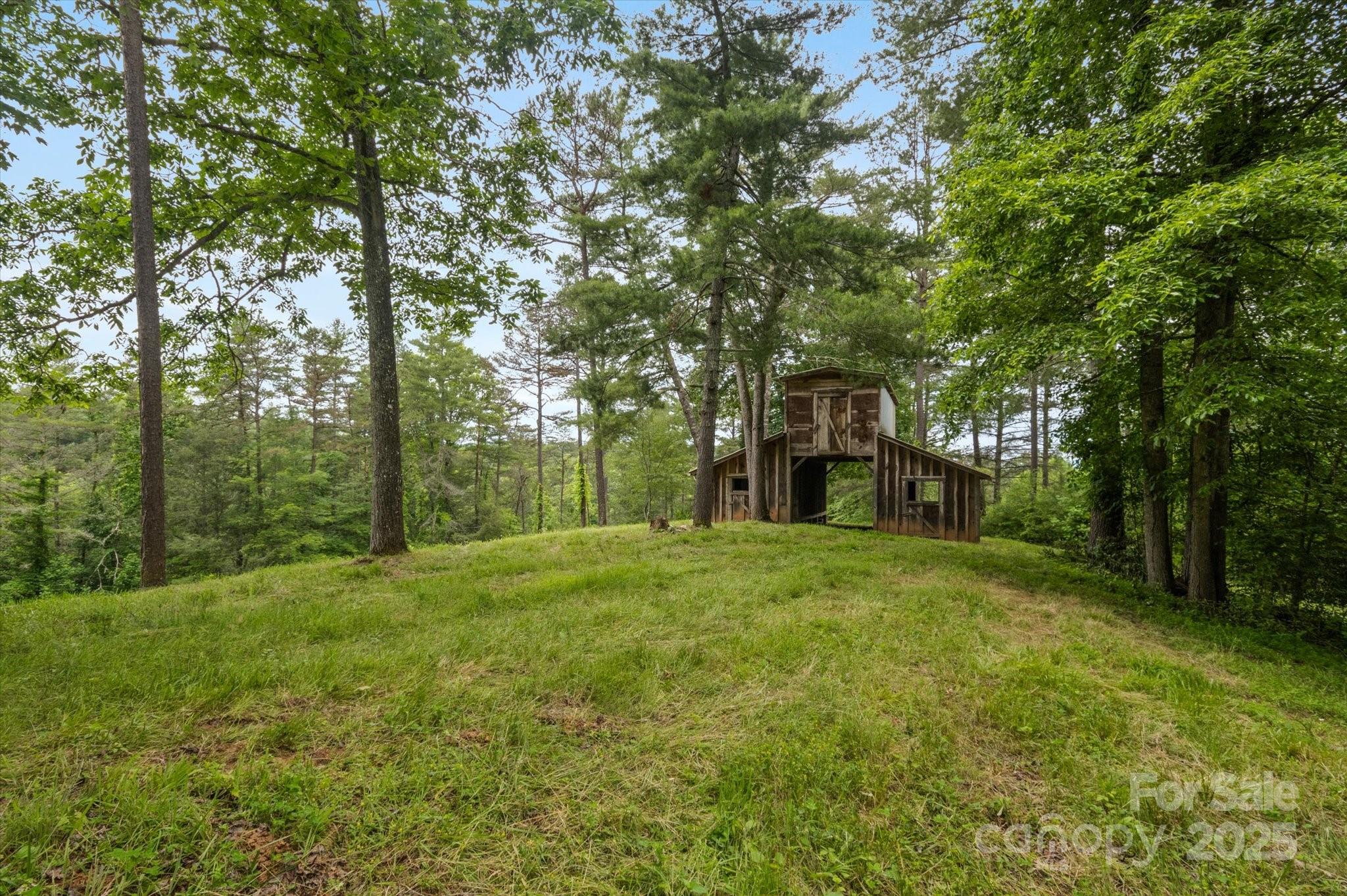 942 Paint Fork Road Mars Hill NC 28754