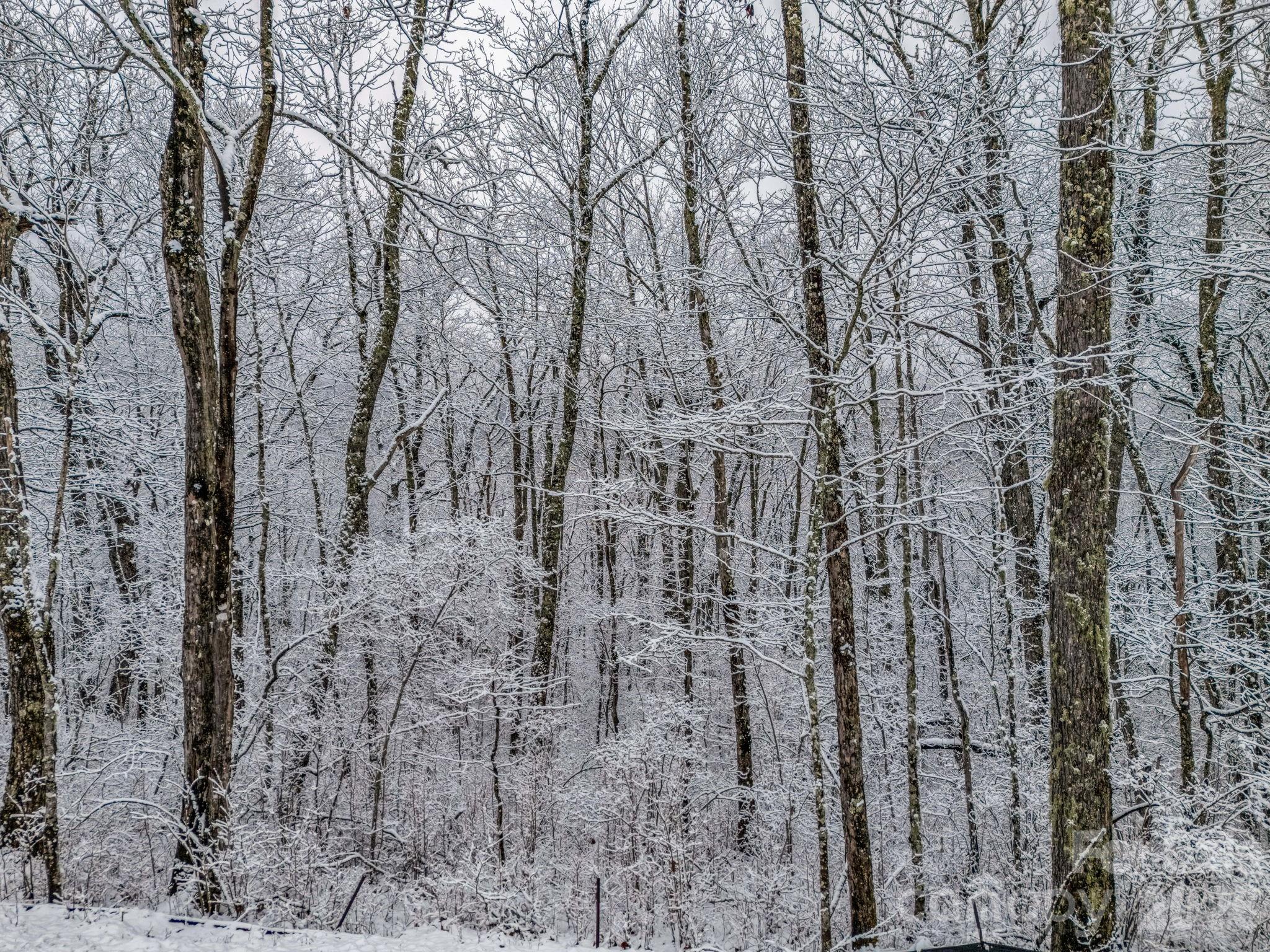 Lt D54 Springwater Road Glenville NC 28736