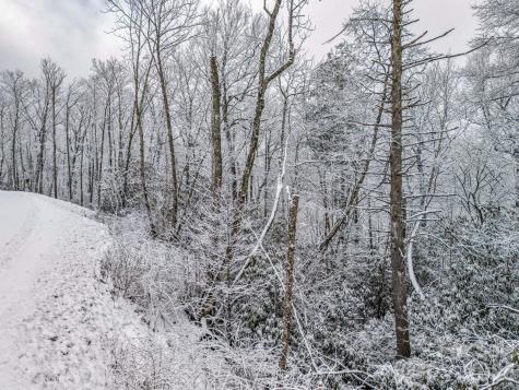 LT D54 Springwater Road Glenville NC 28736