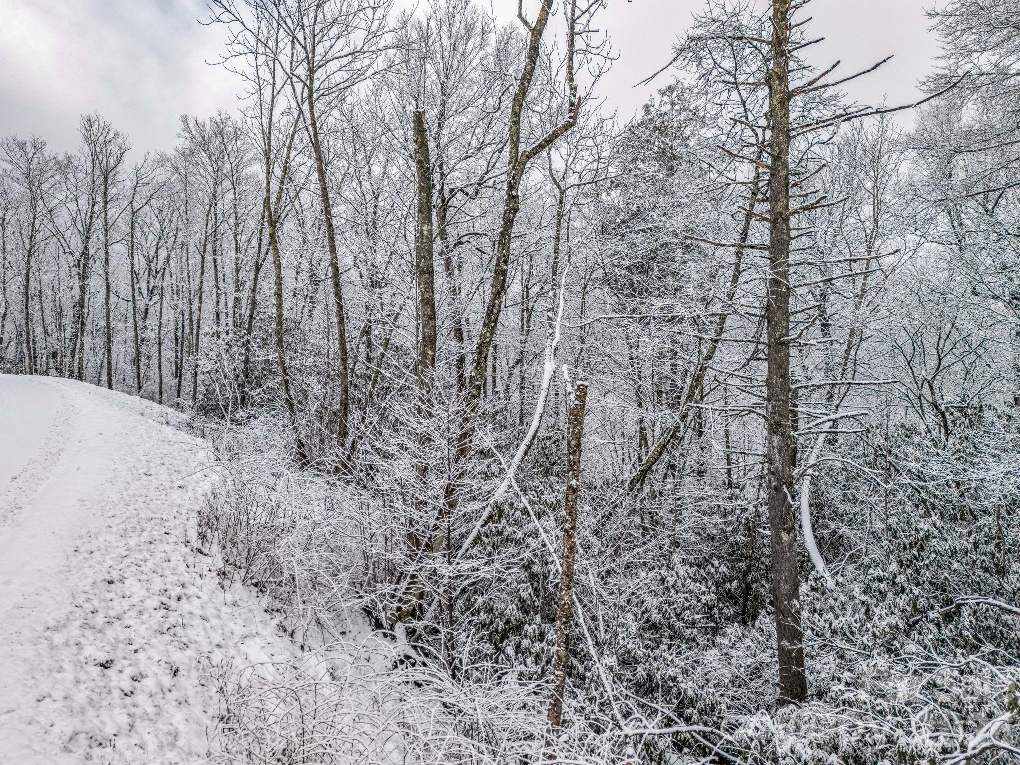 Lt D54 Springwater Road Glenville NC 28736