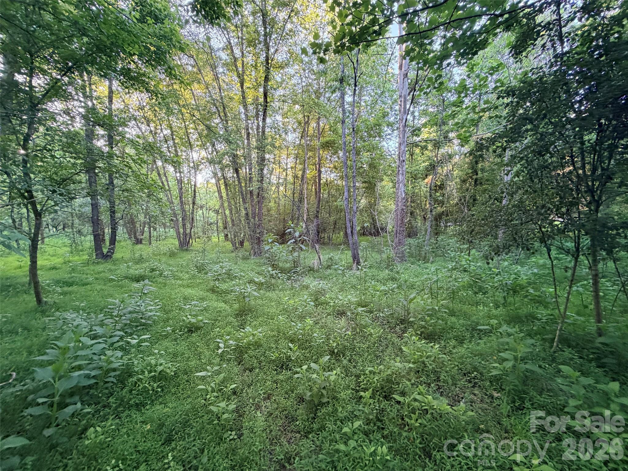 0 Morningstar Lake Road Forest City NC 28043
