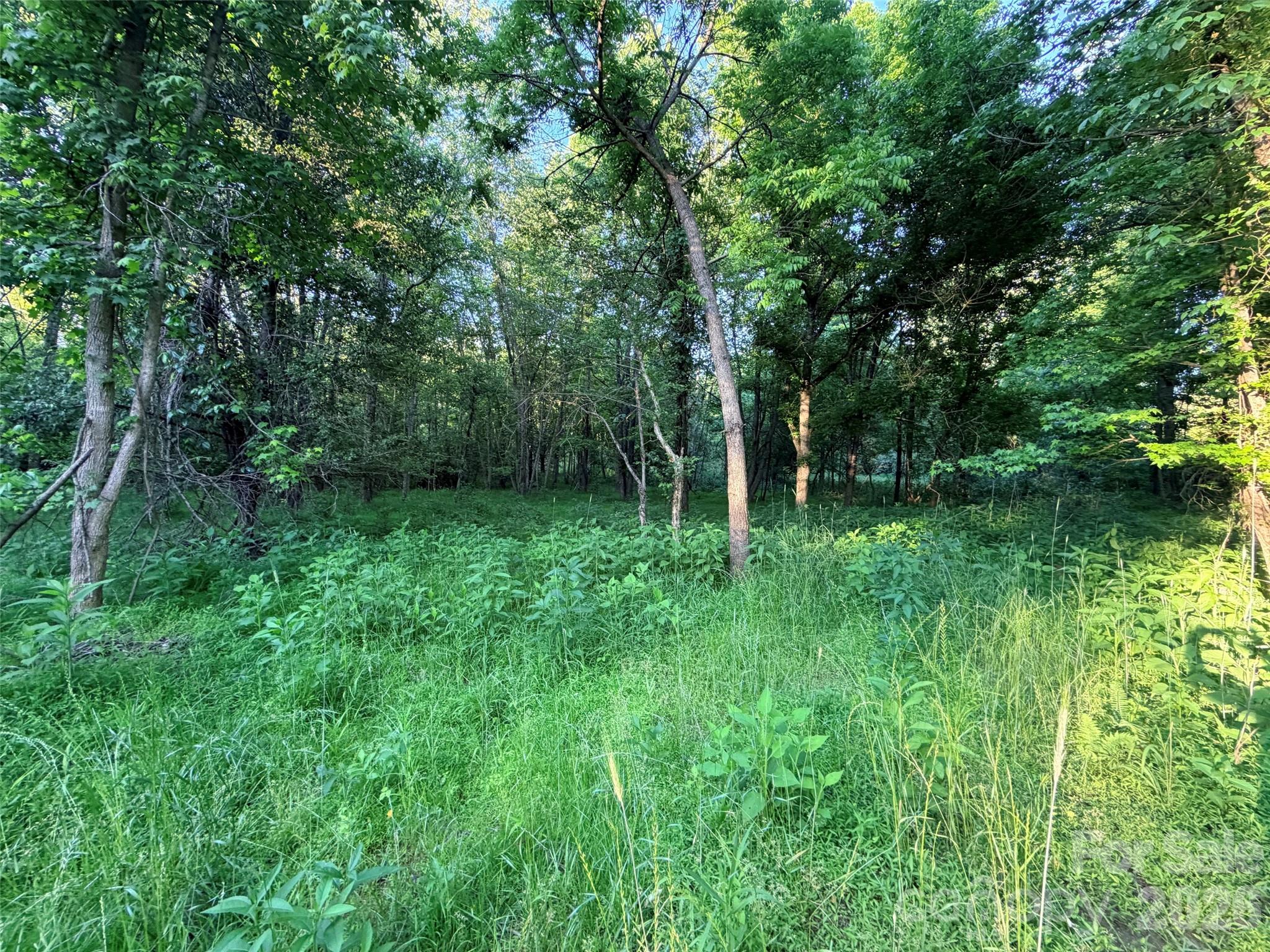 0 Morningstar Lake Road Forest City NC 28043
