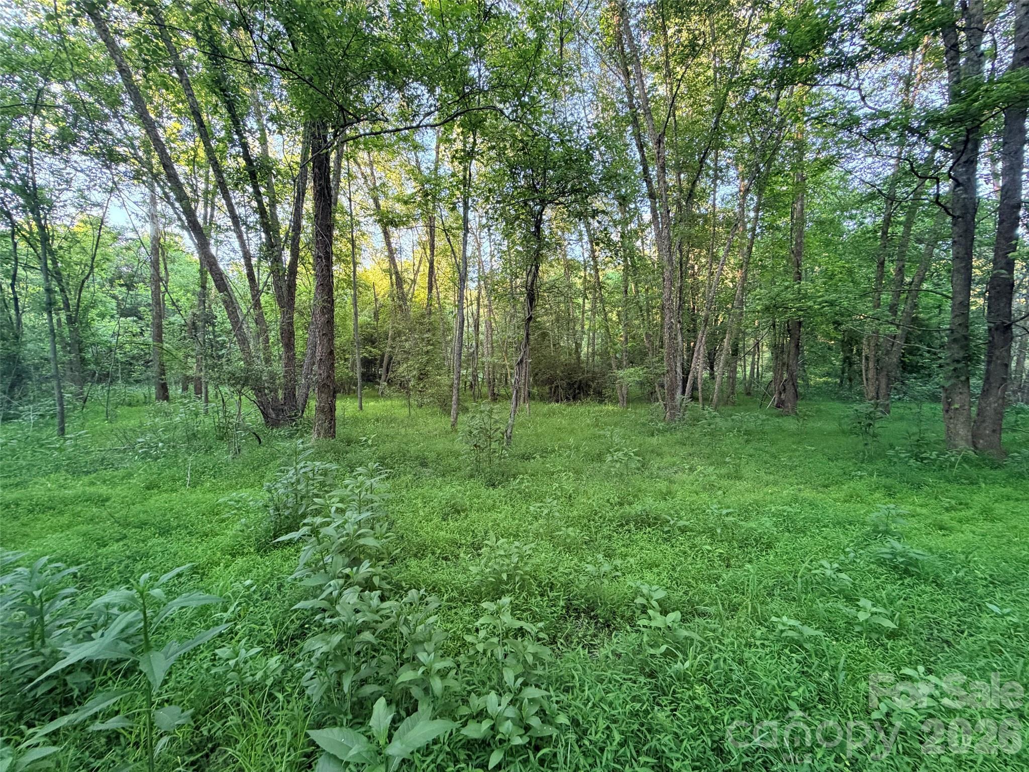 0 Morningstar Lake Road Forest City NC 28043