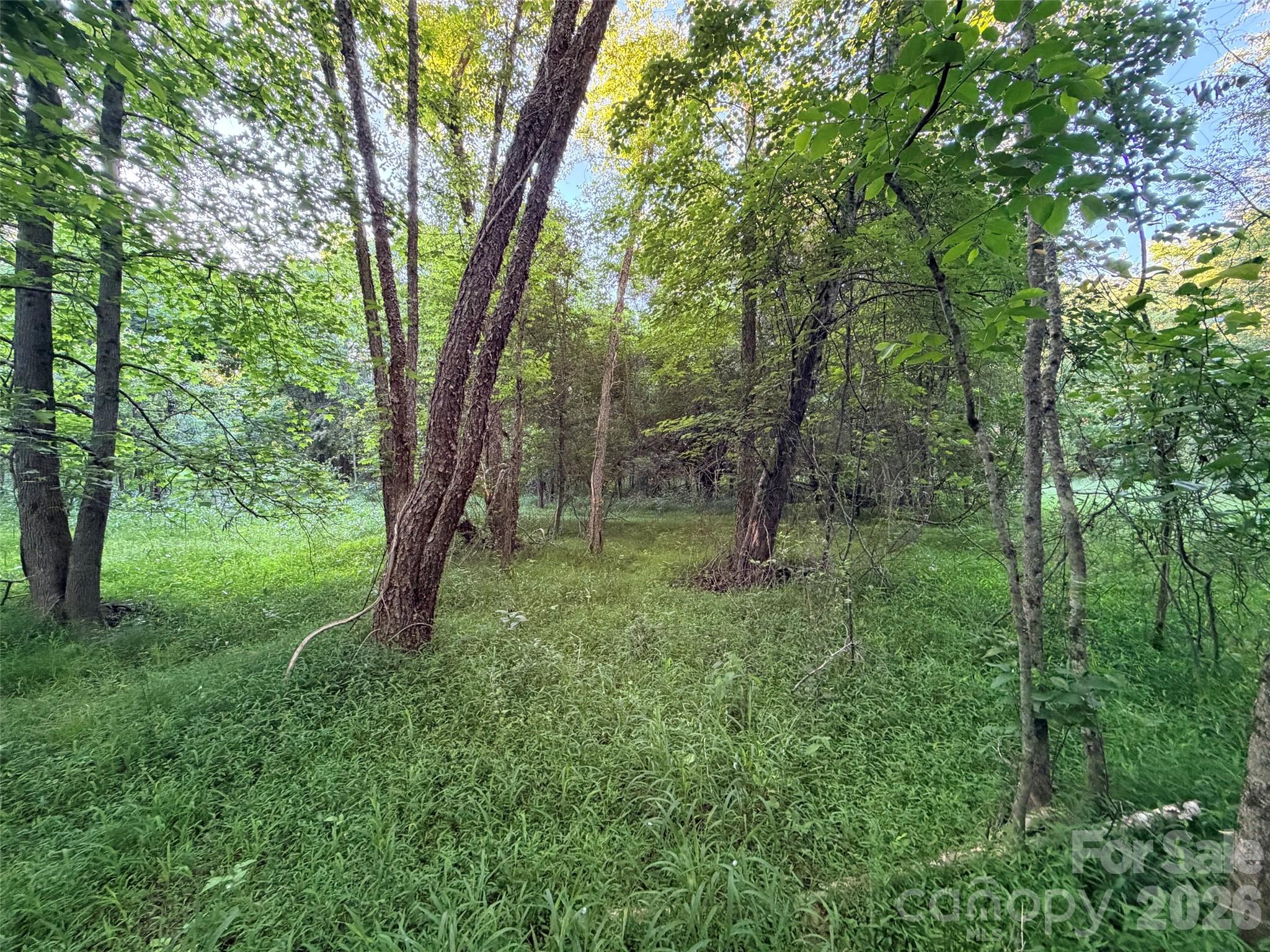 0 Morningstar Lake Road Forest City NC 28043