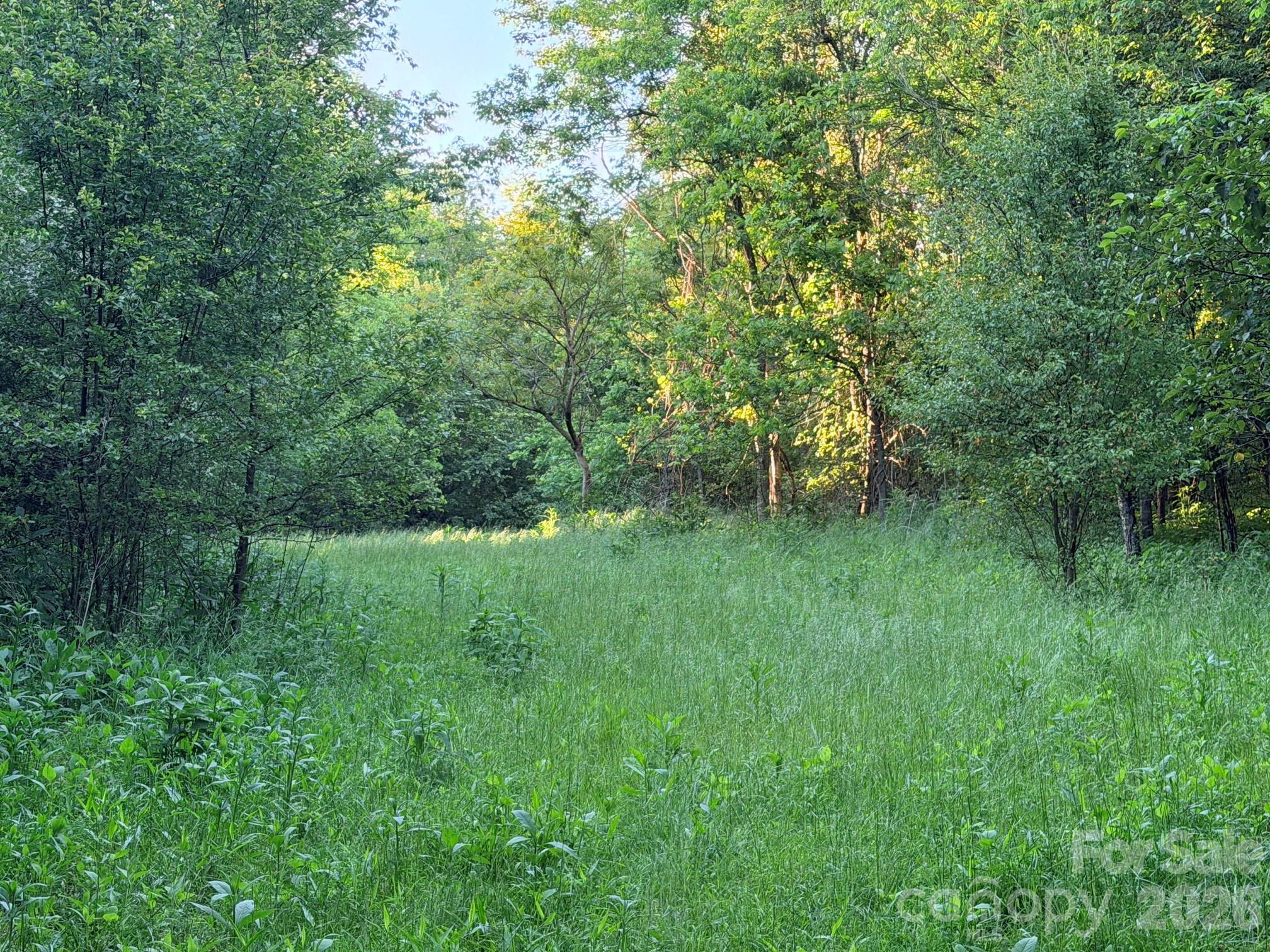0 Morningstar Lake Road Forest City NC 28043