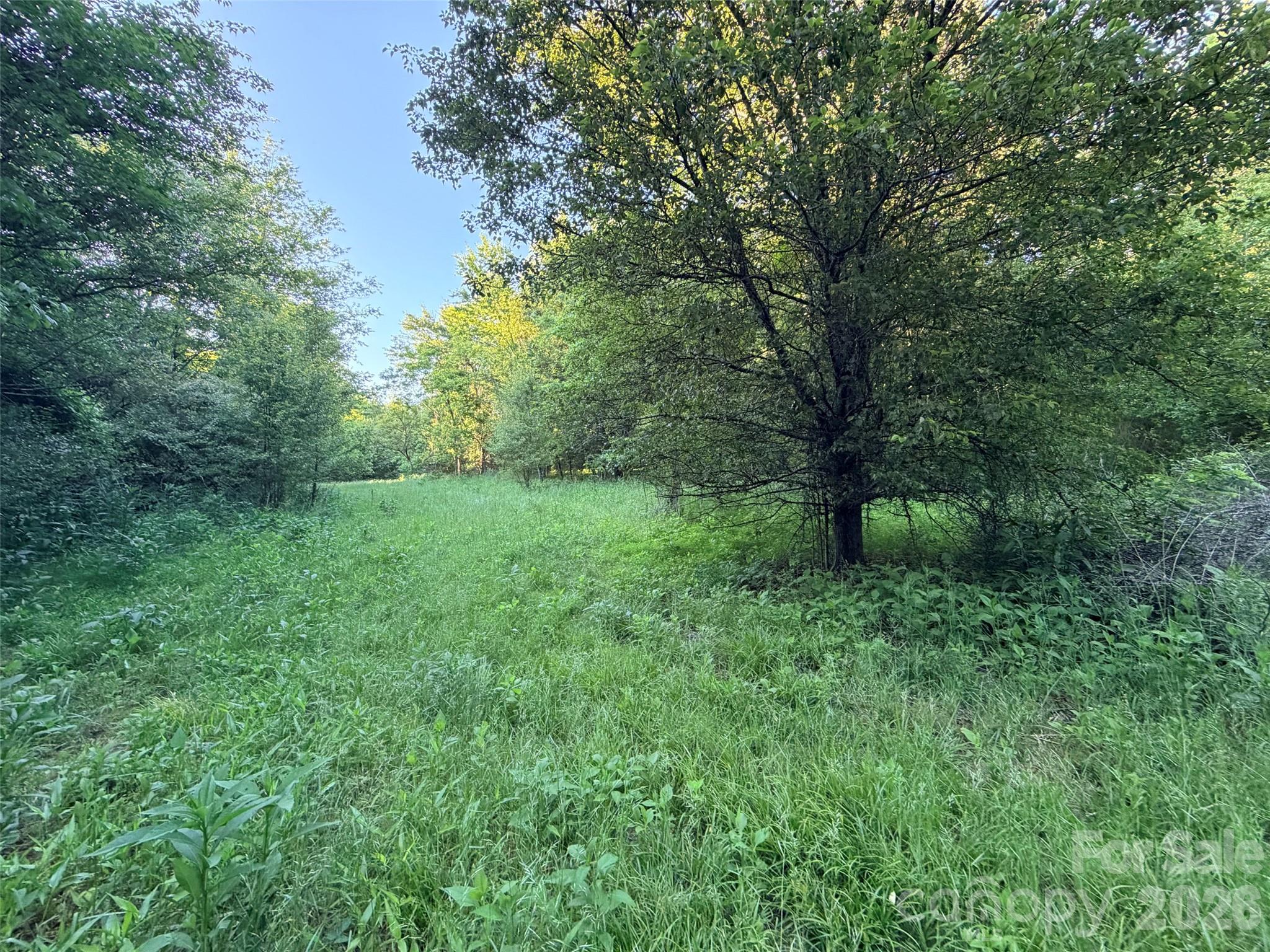 0 Morningstar Lake Road Forest City NC 28043