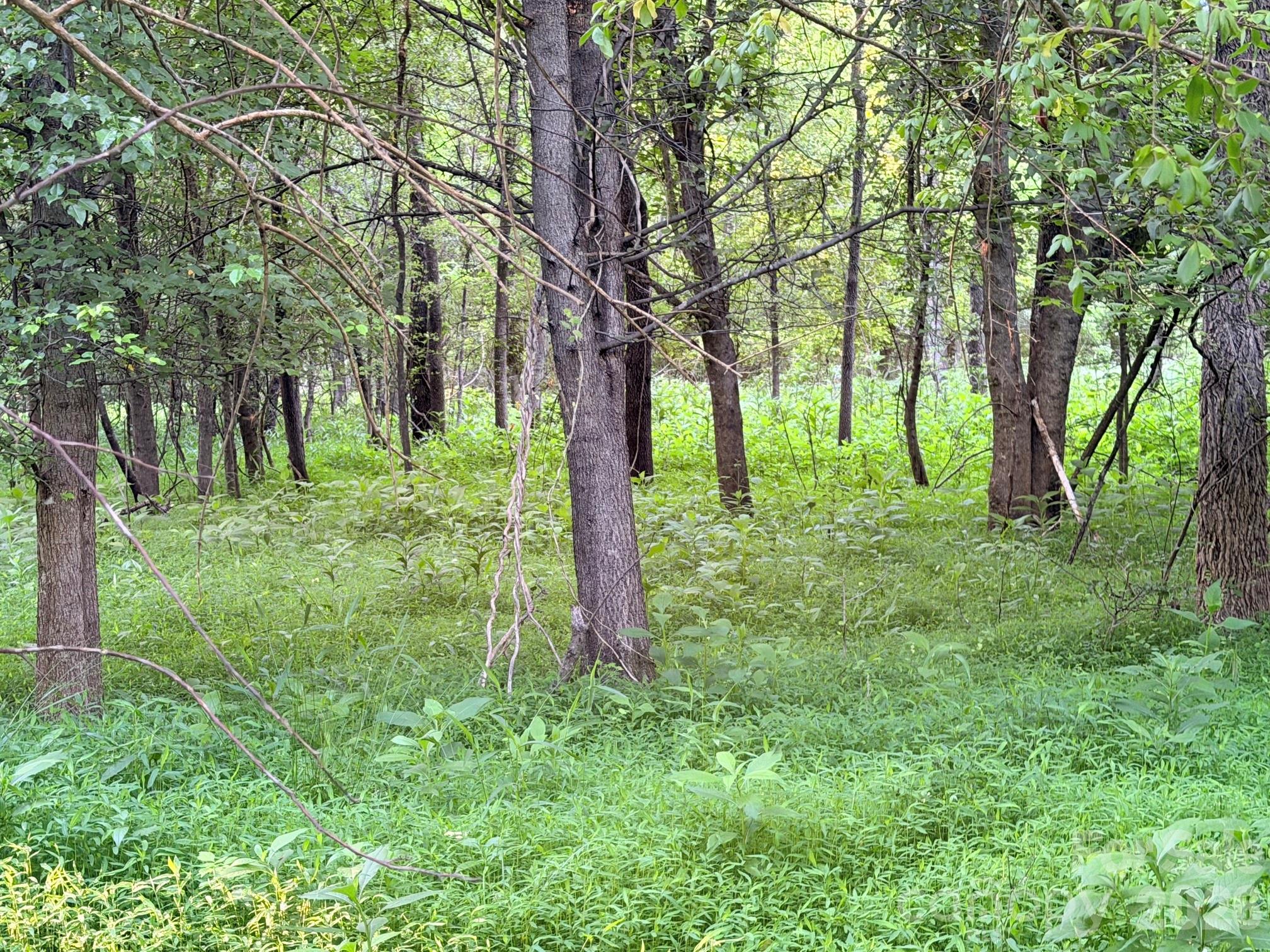 0 Morningstar Lake Road Forest City NC 28043