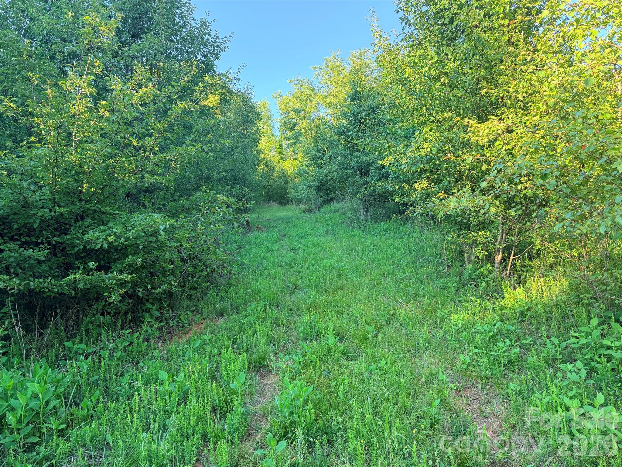 0 Morningstar Lake Road Forest City NC 28043