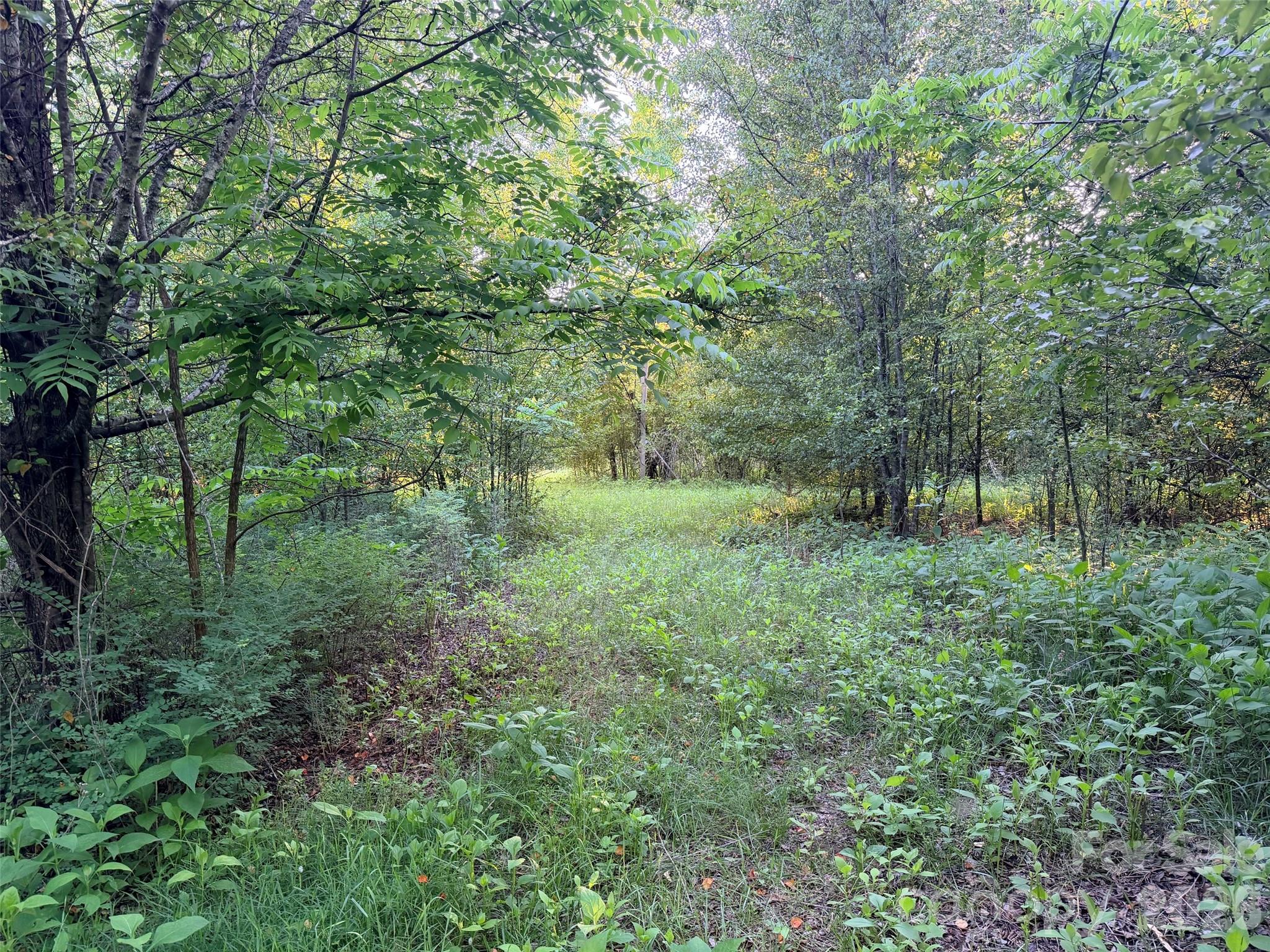 0 Morningstar Lake Road Forest City NC 28043