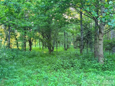 0 Morningstar Lake Road Forest City NC 28043