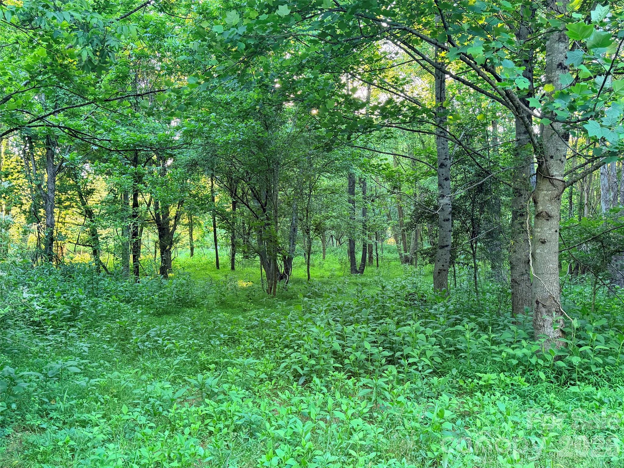 0 Morningstar Lake Road Forest City NC 28043