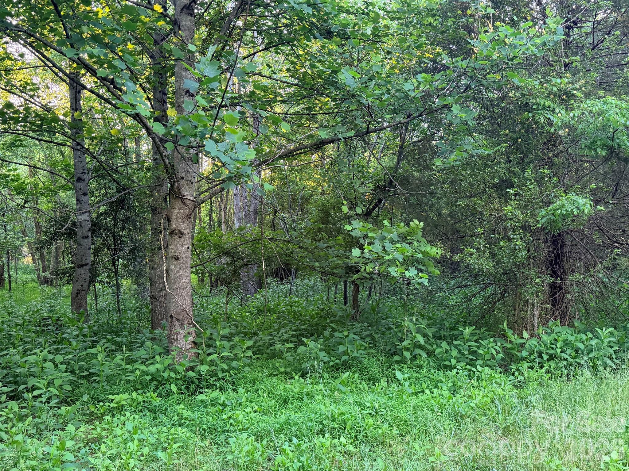 0 Morningstar Lake Road Forest City NC 28043
