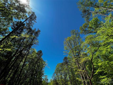 147 Copper Pine Lane Davidson NC 28036