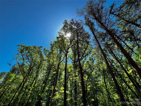 147 Copper Pine Lane Davidson NC 28036