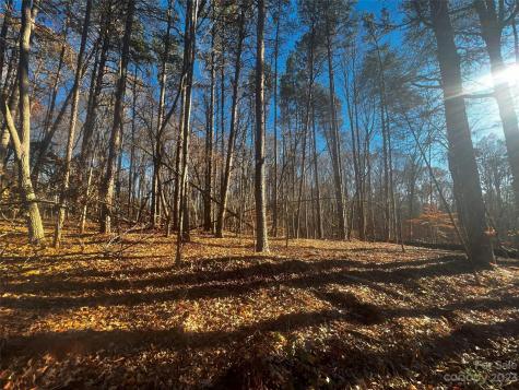 147 Copper Pine Lane Davidson NC 28036