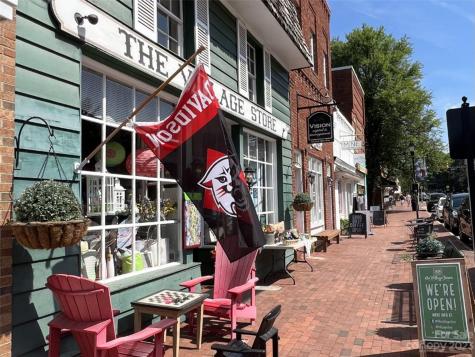 147 Copper Pine Lane Davidson NC 28036