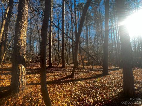 147 Copper Pine Lane Davidson NC 28036