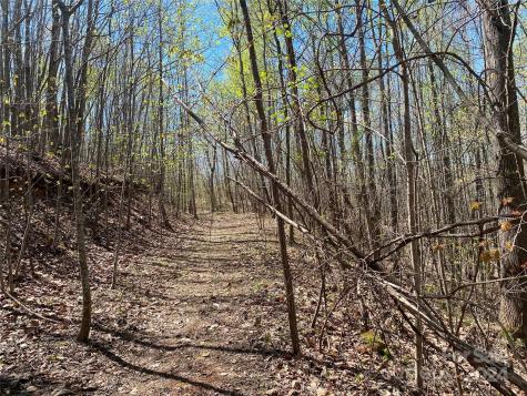 Lots 8,9 Wild Horse Drive Nebo NC 28761