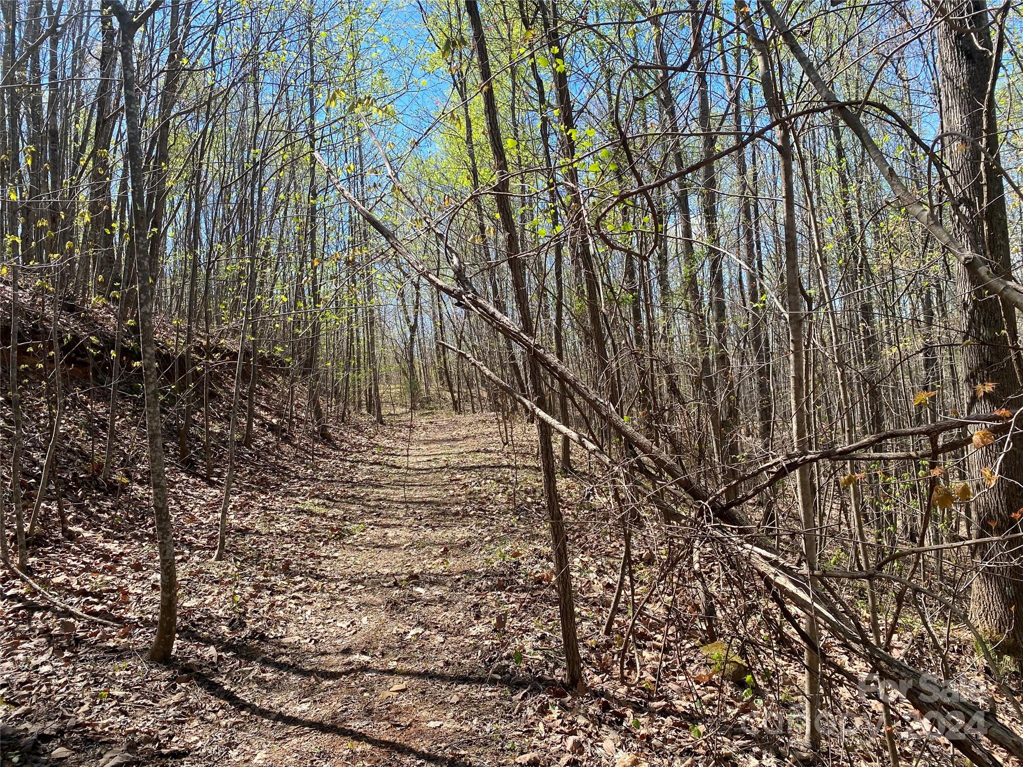 Lots 8,9 Wild Horse Drive Nebo NC 28761