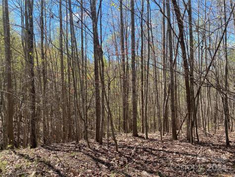 Lots 8,9 Wild Horse Drive Nebo NC 28761