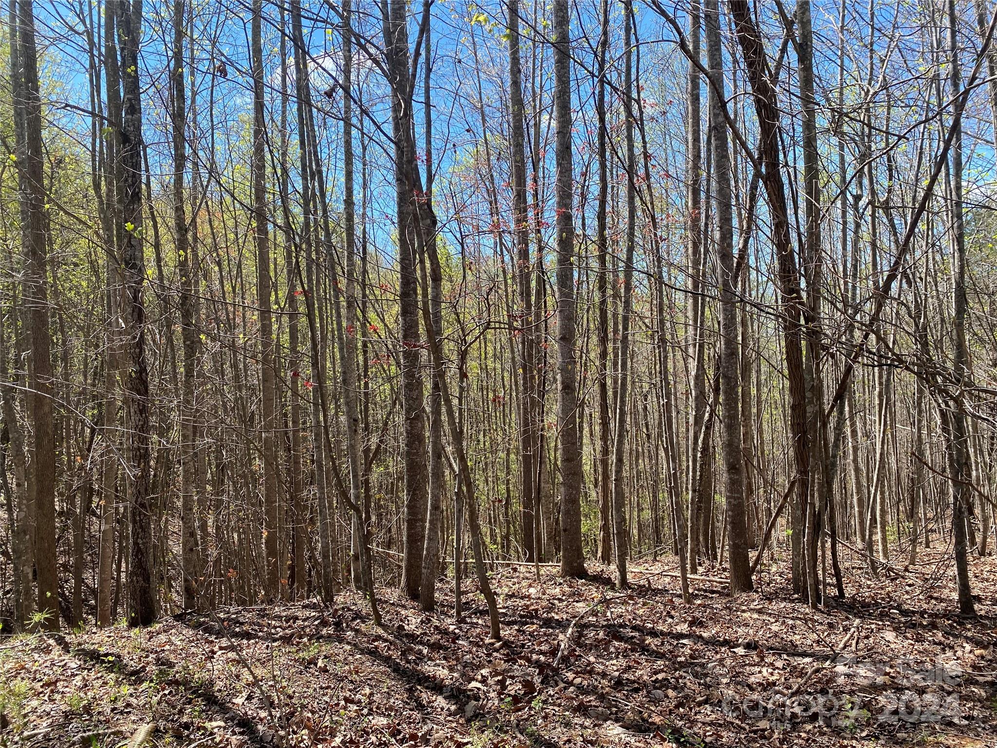 Lots 8,9 Wild Horse Drive Nebo NC 28761