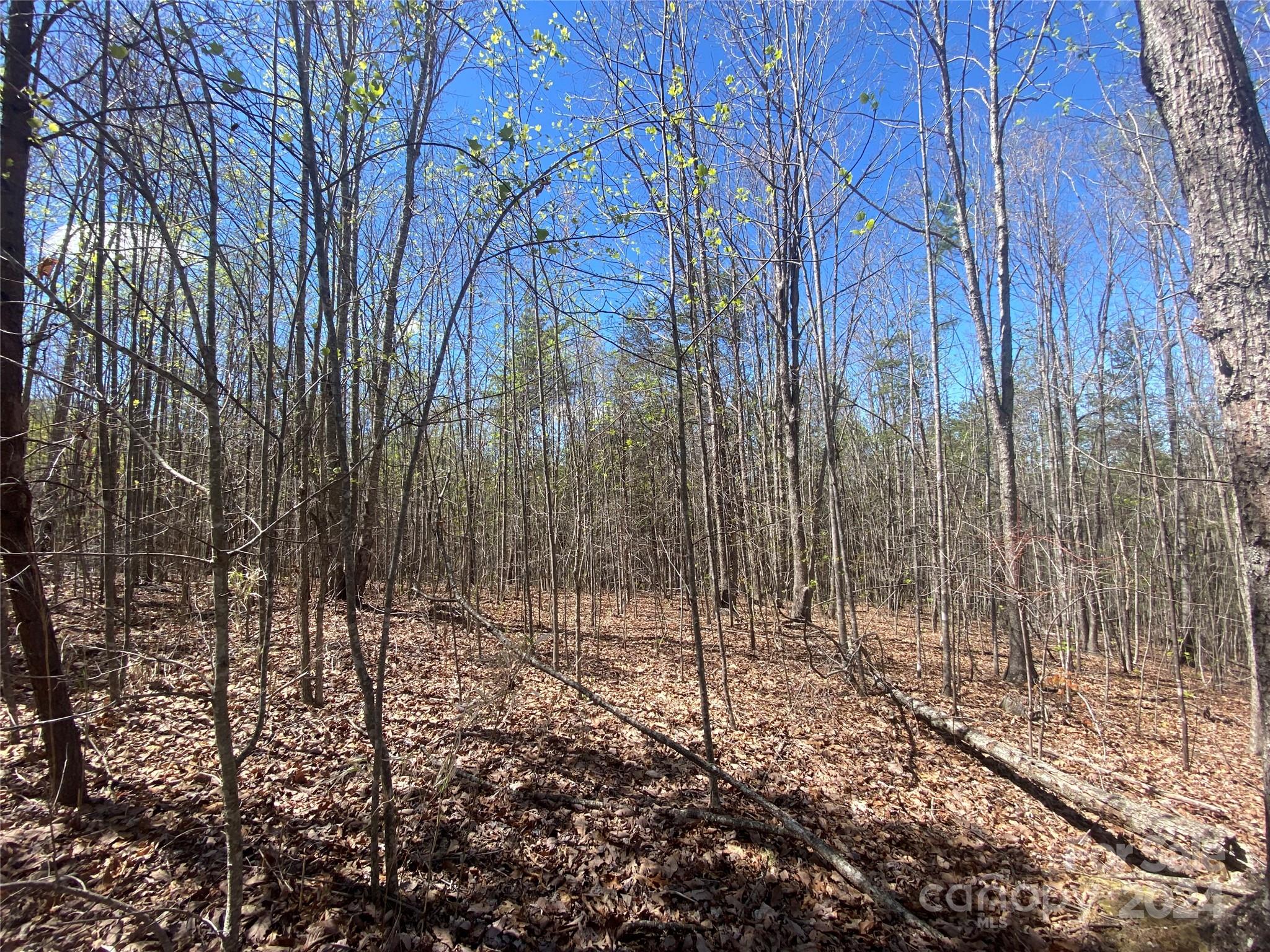Lots 8,9 Wild Horse Drive Nebo NC 28761