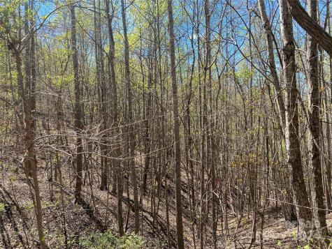 Lots 8,9 Wild Horse Drive Nebo NC 28761