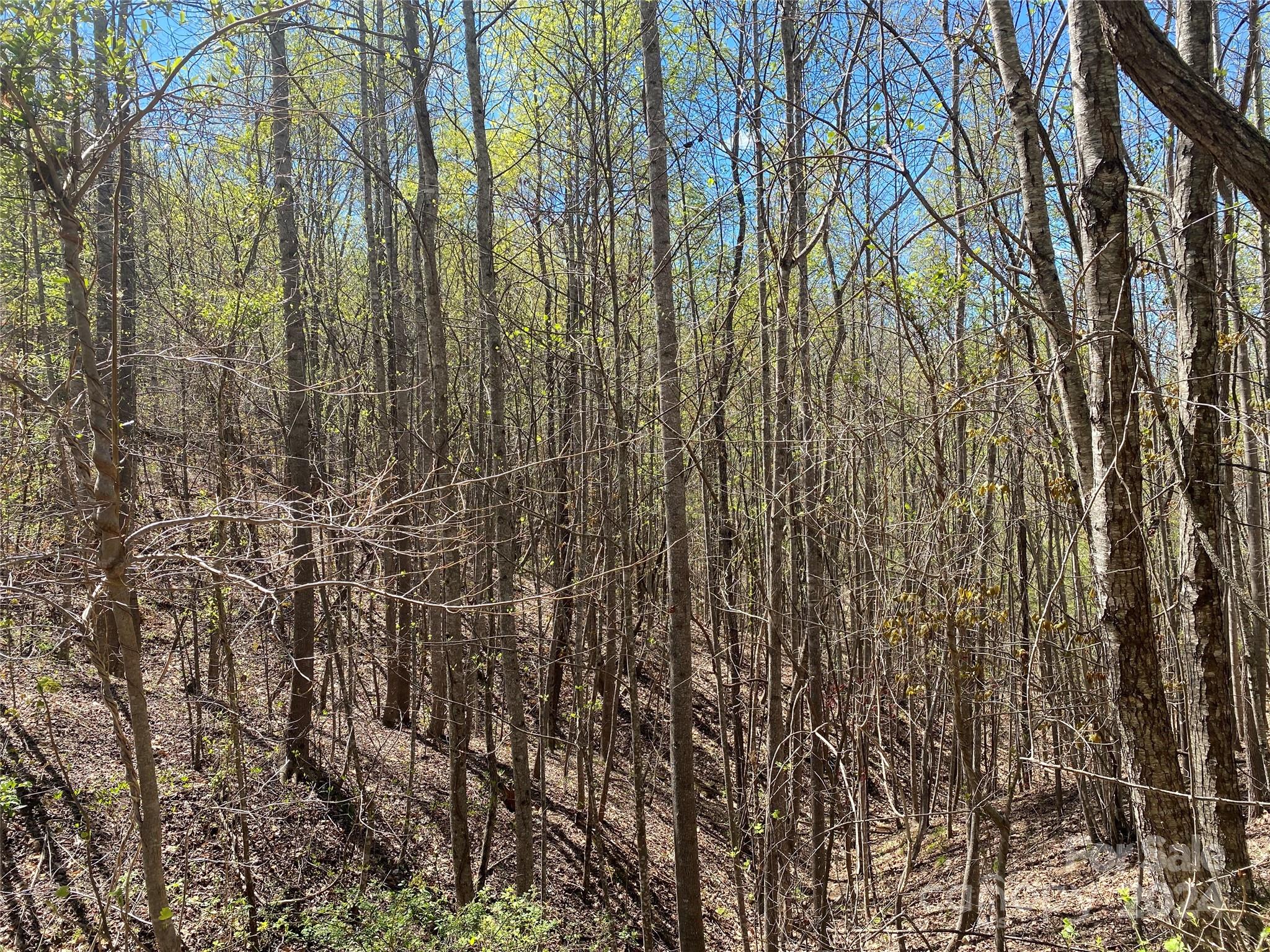 Lots 8,9 Wild Horse Drive Nebo NC 28761