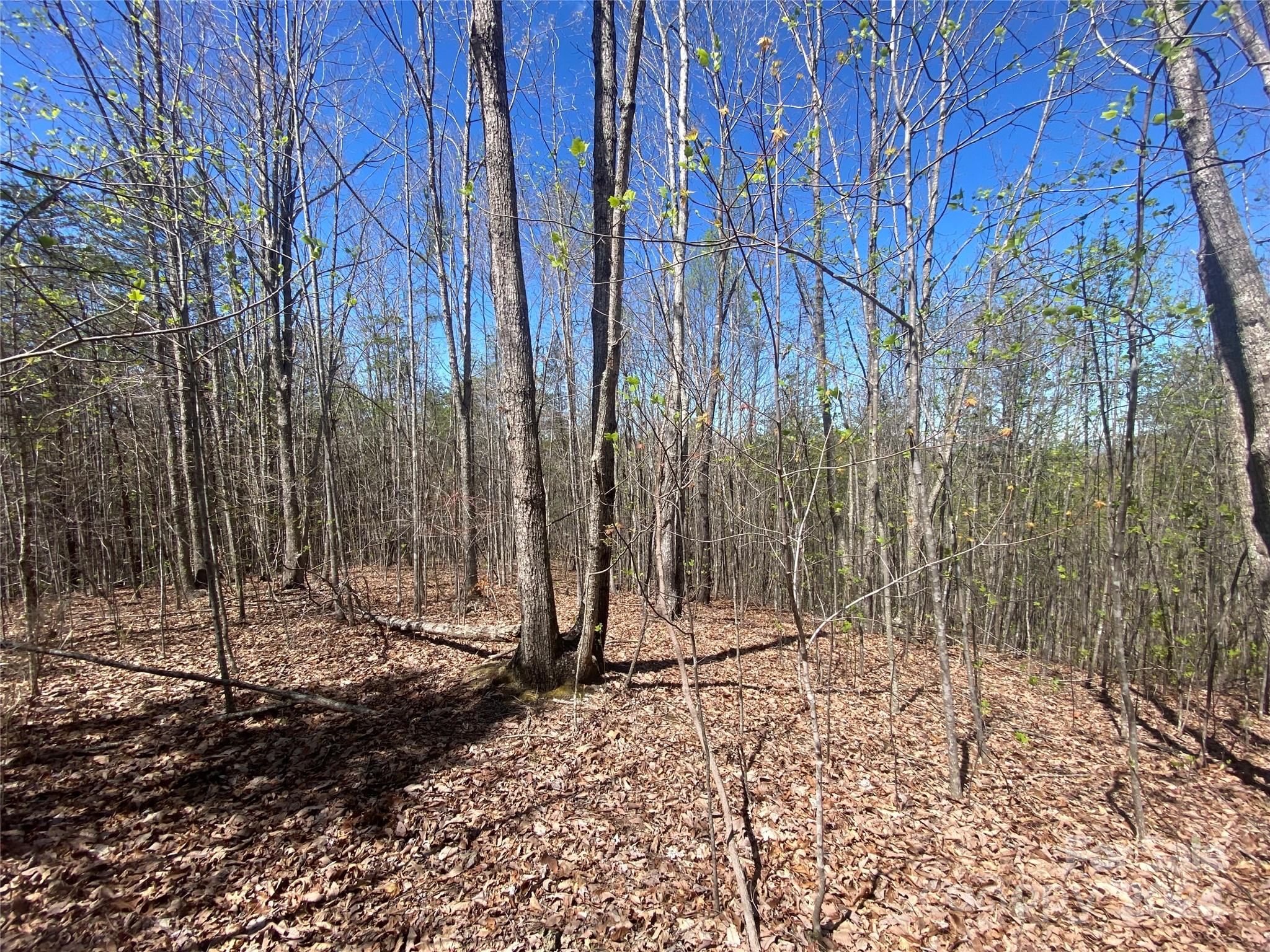 Lots 8,9 Wild Horse Drive Nebo NC 28761