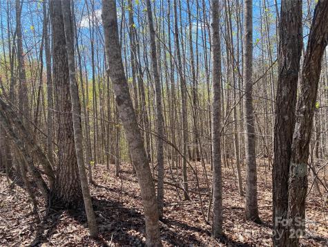 Lots 8,9 Wild Horse Drive Nebo NC 28761