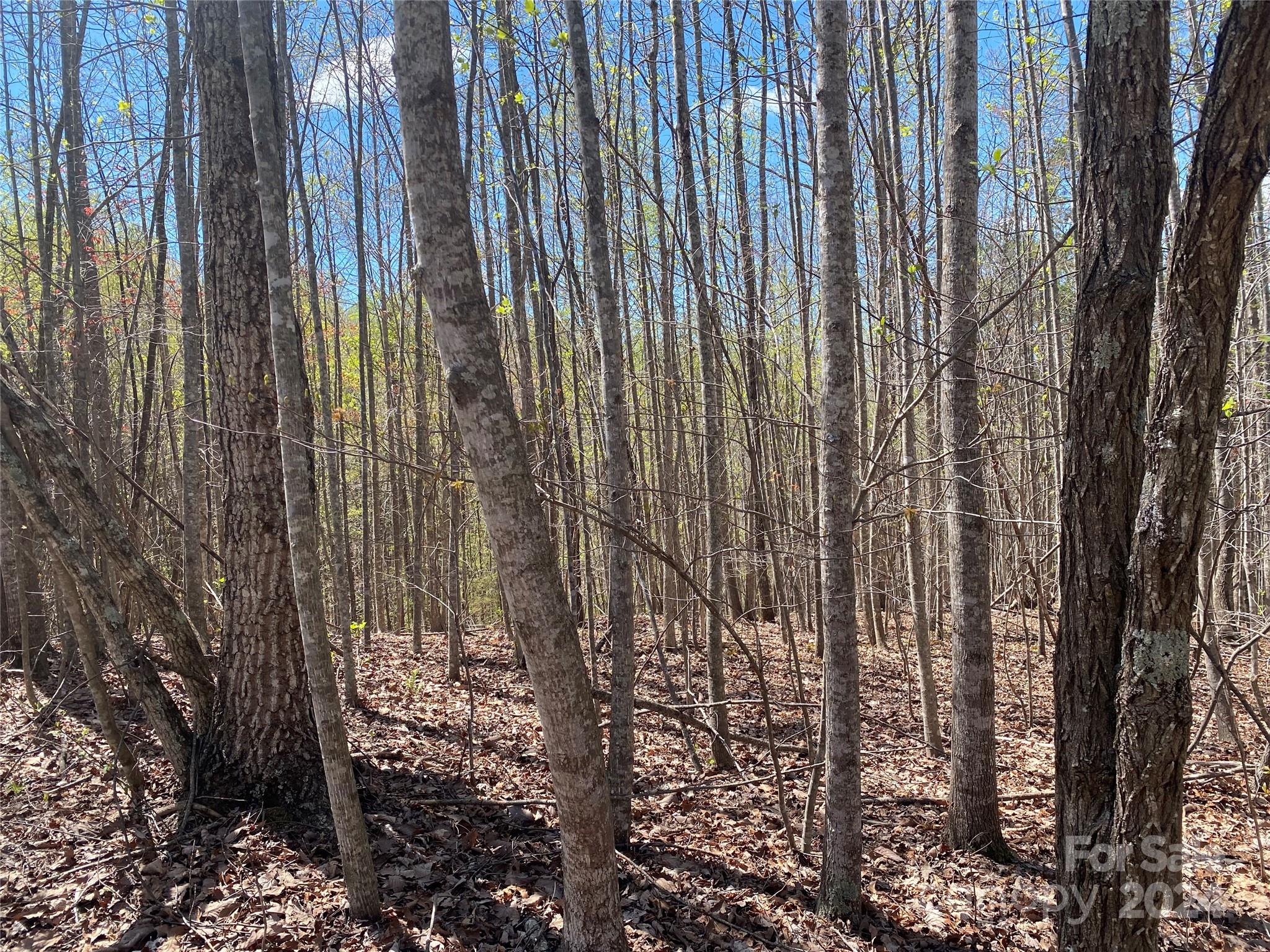 Lots 8,9 Wild Horse Drive Nebo NC 28761