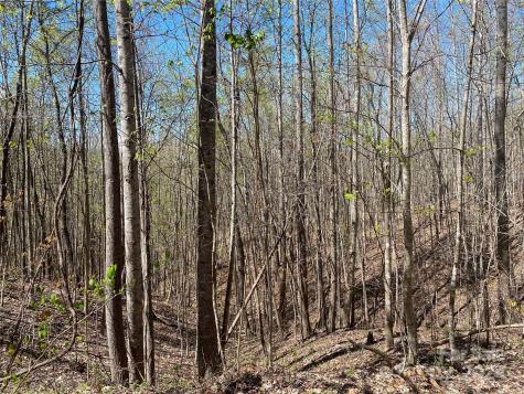 Lots 8,9 Wild Horse Drive Nebo NC 28761