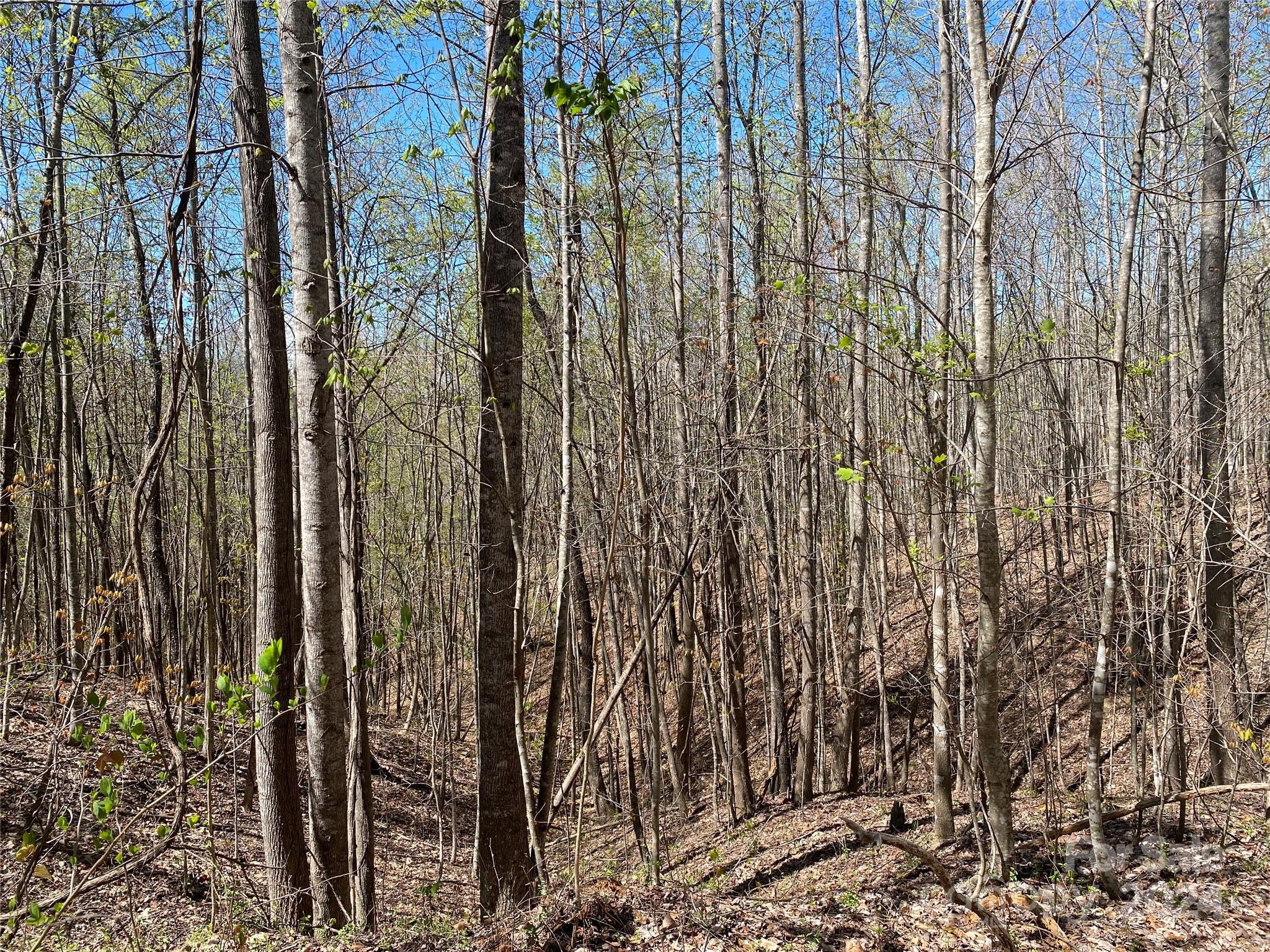 Lots 8,9 Wild Horse Drive Nebo NC 28761