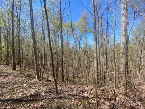 Lots 8,9 Wild Horse Drive Nebo NC 28761