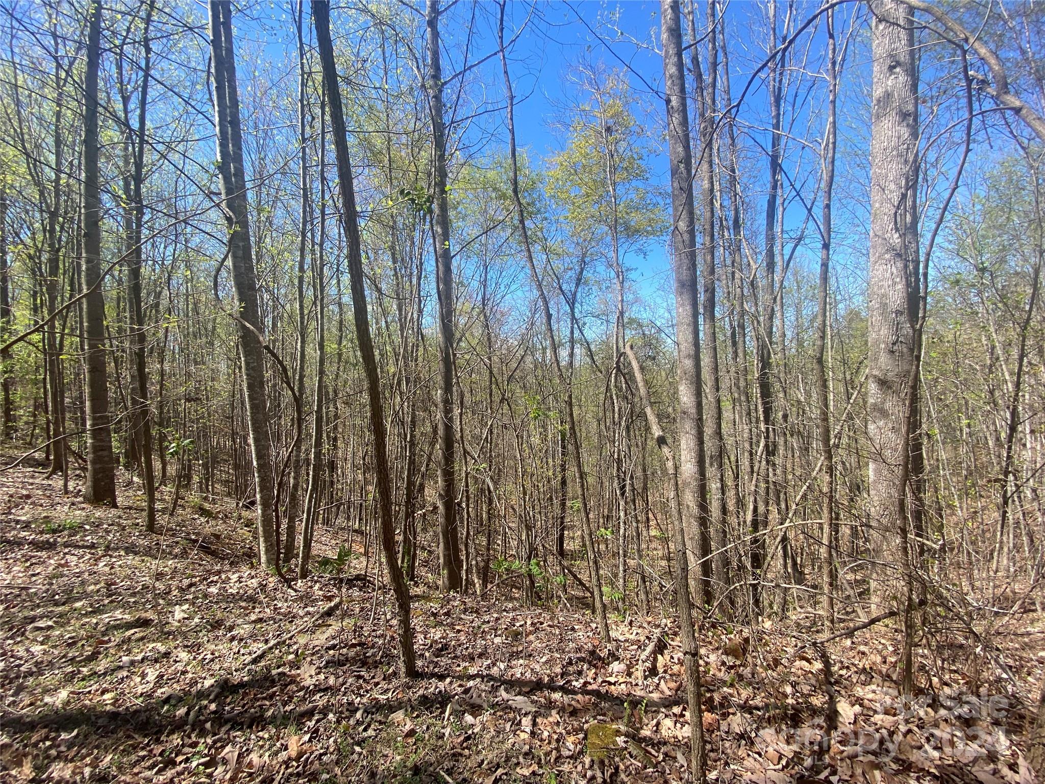 Lots 8,9 Wild Horse Drive Nebo NC 28761