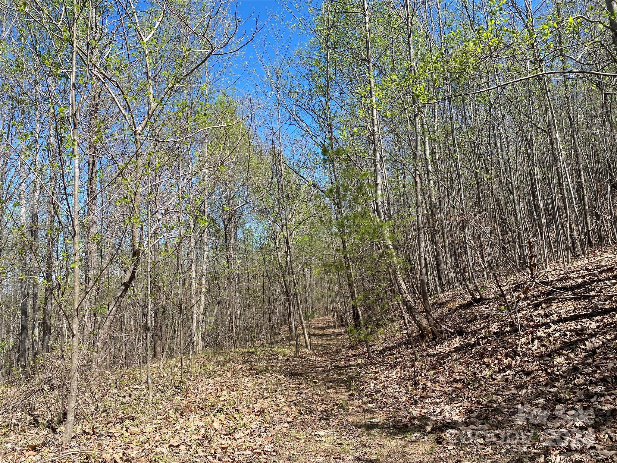 Lots 8,9 Wild Horse Drive Nebo NC 28761