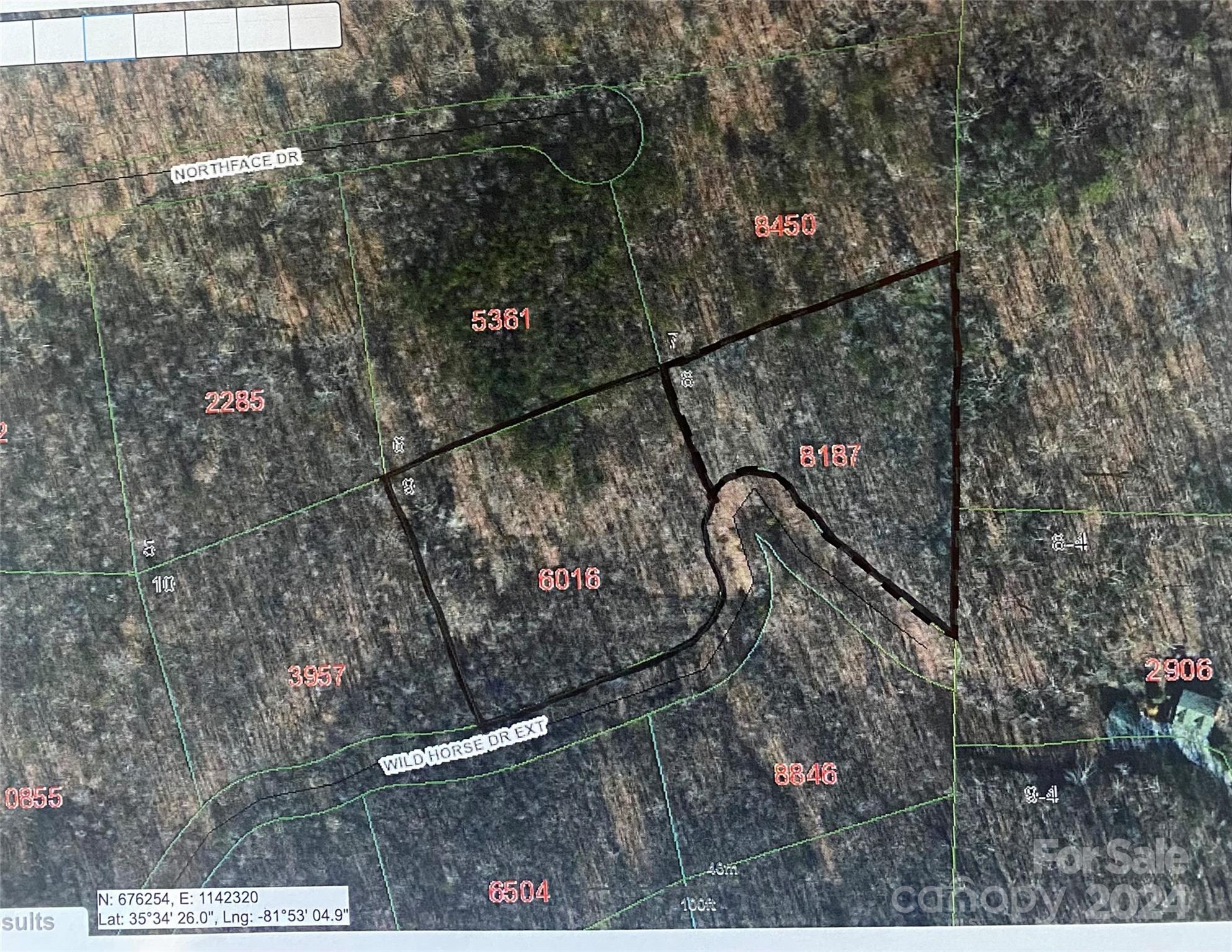 Lots 8,9 Wild Horse Drive Nebo NC 28761