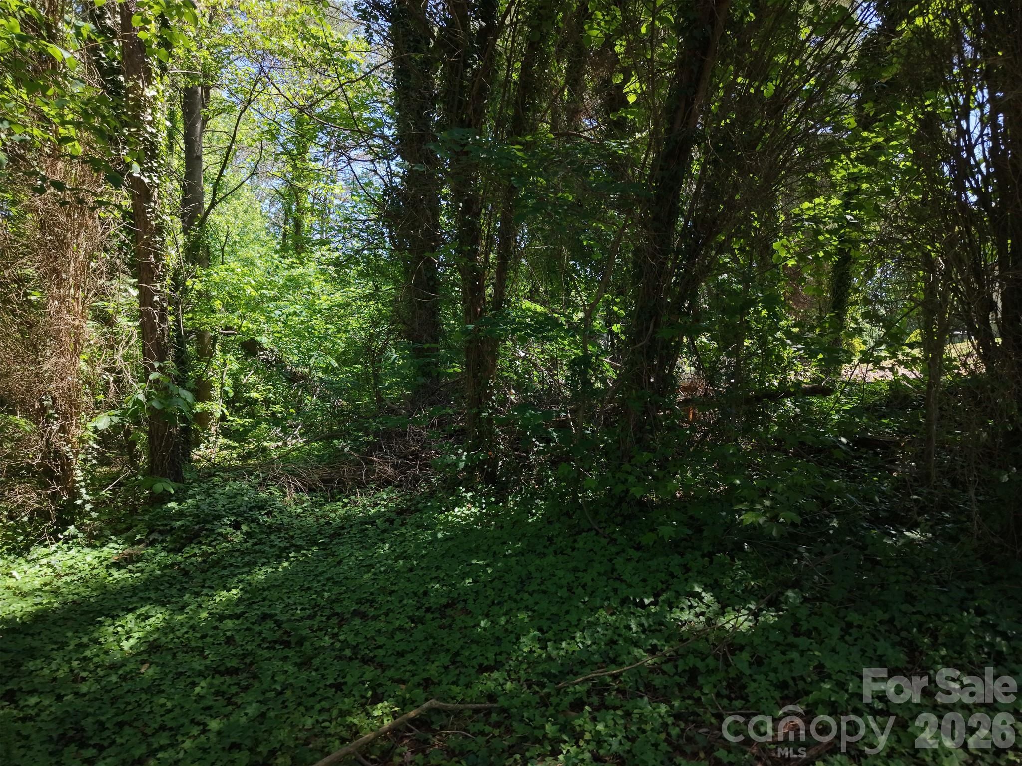 4244 Harbor Lane Sherrills Ford NC 28673