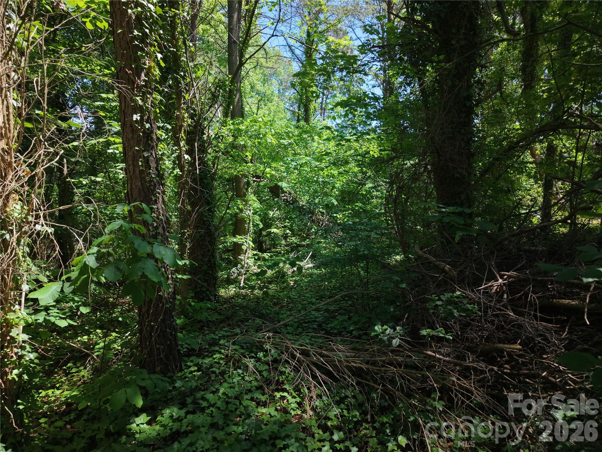 4244 Harbor Lane Sherrills Ford NC 28673