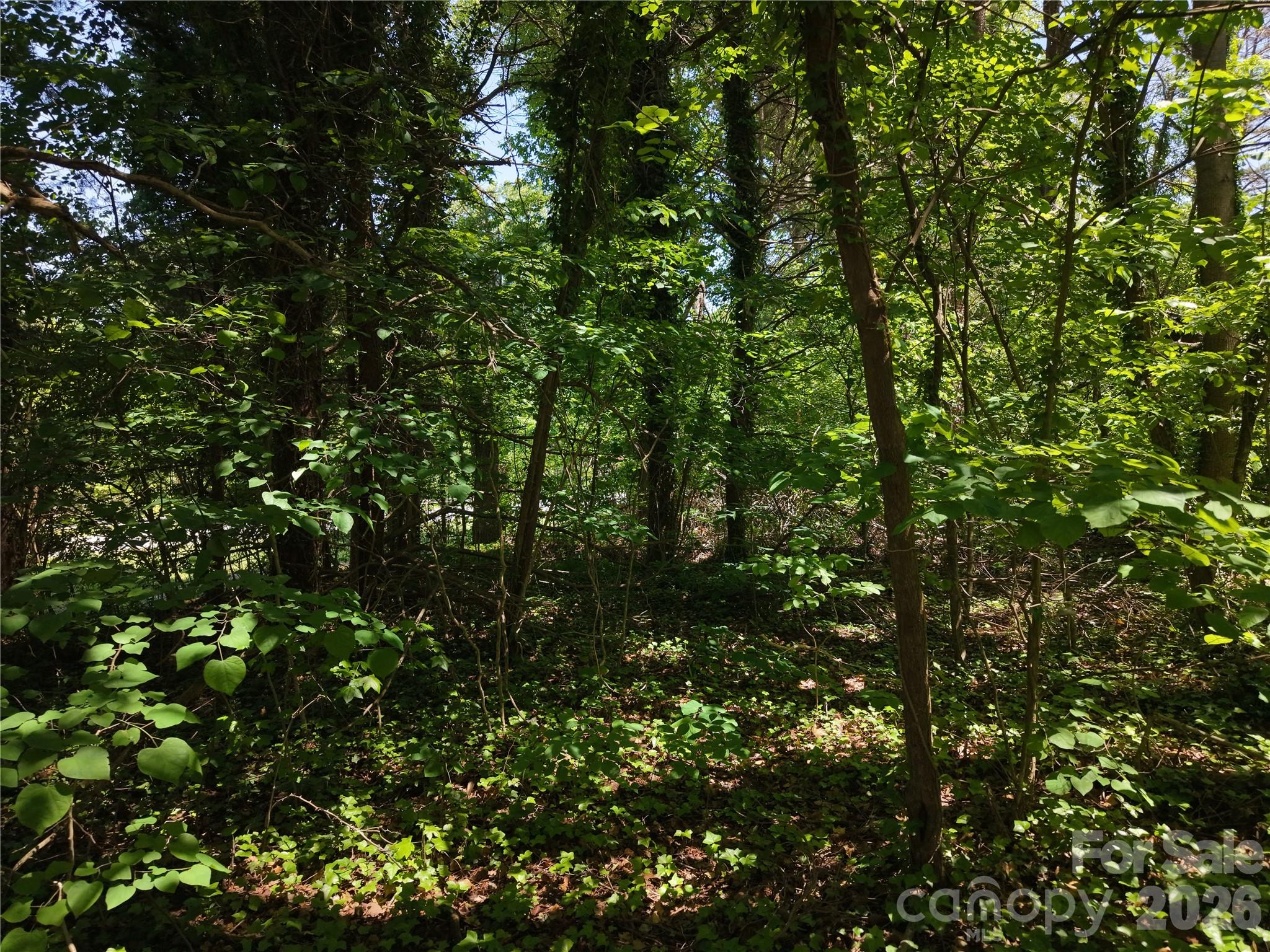 4244 Harbor Lane Sherrills Ford NC 28673