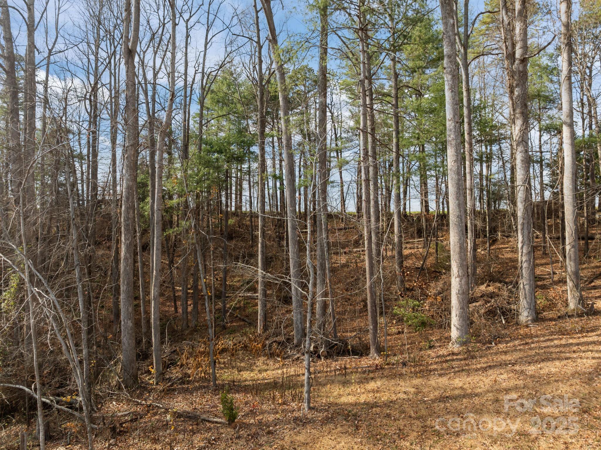99999 Twin Lakes Drive Flat Rock NC 28792